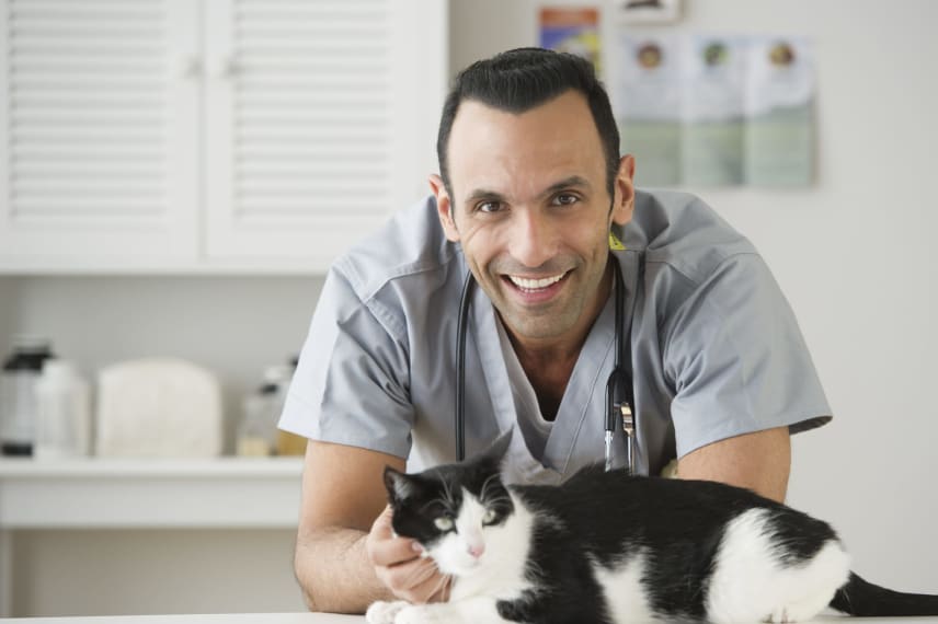 Online Veterinary Tech Schools