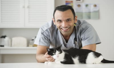 Online Veterinary Tech Schools